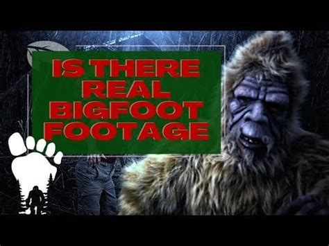 fake bigfoot shoes|bigfoot doesn't exist.